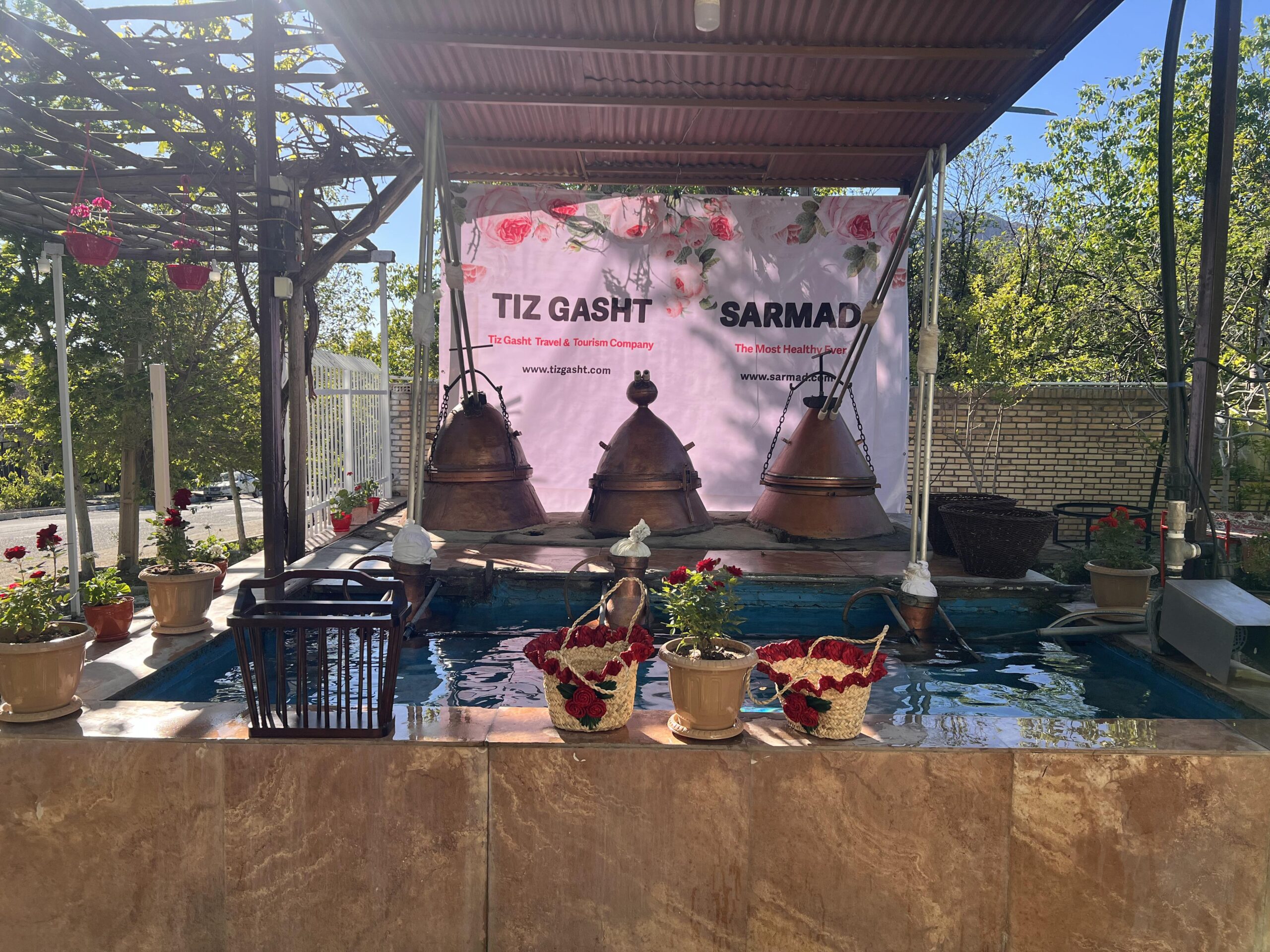 2024_05_10_07_33_IMG_8592